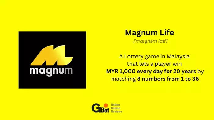What is Magnum Life